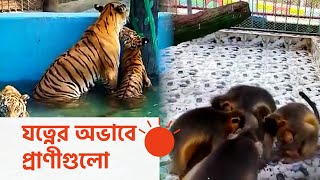 দুর্গন্ধে প্রাণ ওষ্ঠাগত চট্টগ্রাম চিড়িয়াখানায় | Chittagong Zoo