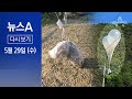 [다시보기] 北, 오물 풍선 260개 남한 전역 살포 | 2024년 5월 29일 뉴스a