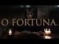 ALEX TERRIBLE - O ! Fortuna COVER