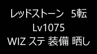 レッドストーン　5転 Lv1075 WIZ ステ 装備 晒し 海底神殿B2