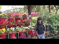 maitri garden flower show 2024 maitri garden bhilai 2024 maitri bagh santu dhurwe vlogs