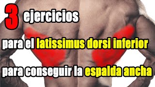 Los 3 mejores ejercicios del dorsal ancho inferior para una espalda más voluminosa