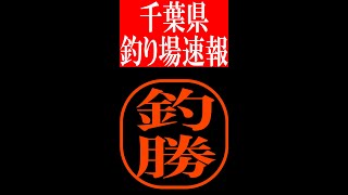 【2022/5/25 千葉釣り場速報】下洲漁港　立入禁止 #Shorts