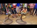amazing street performers or busker |  cobra flute music played by snake charmer