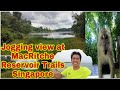 Jogging view at MacRitchie Reservoir Trails Singapore