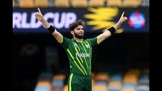 The King Of Swing At His Best | Top 30 Wickets of Shaheen Shah Afridi | PCB | PSL | LPL | BPL
