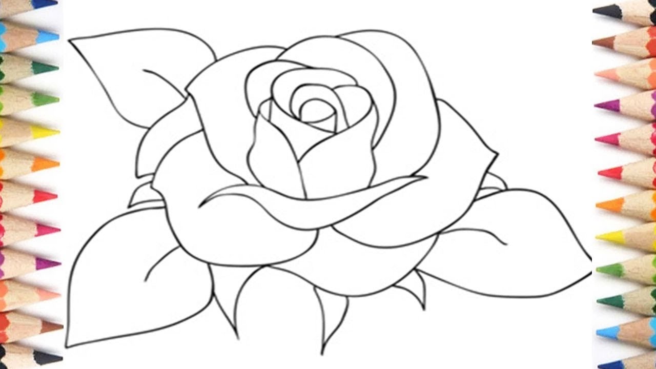 How To Draw A Rose For Beginners Step By Step At Brenda Jacobs Blog