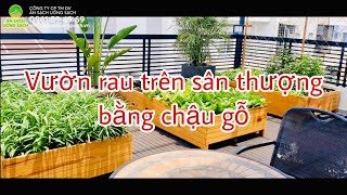 Vườn rau sạch tại gia trên sân thượng bằng chậu gỗ - Thiết kế & thi công vườn rau trên sân thượng