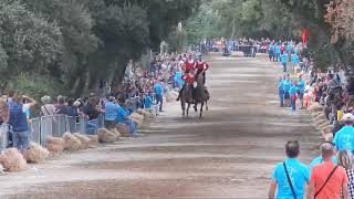 pariglie abbasanta sant'agostino  26.08.2018