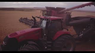 Neumiller Harvesting 2024 wheat harvest