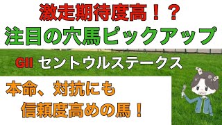 【2023 セントウルステークス 予想】激走期待度高！？注目の穴馬ピックアップ！本命、対抗にも期待度高めの馬！