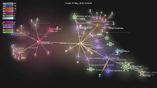 Steem Blockchain Gource Visualization