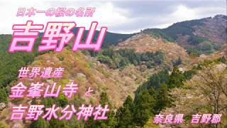 吉野山　奈良県　吉野郡吉野町　日本一の桜の名所　世界遺産　金峯山寺　吉野水分神社