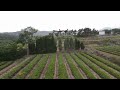 52L BROUAV agricultural spray drones