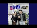 Terpana