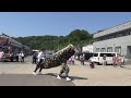 2015 古平町琴平神社例祭　新地交差点　初日