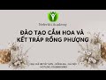 Hướng dẫn cắm hoa sen đơn giản tại nhà