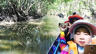 ล่องเรือชมธรรมชาติป่าโกงกาง (บางปู)