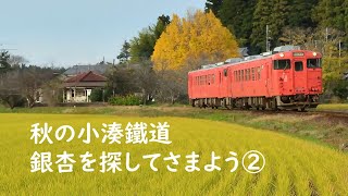 小湊鐵道 銀杏探し②　上総鶴舞、野田っぽり