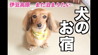 【犬と伊豆旅行②】リピートしたい！犬に優しいお宿『かざみどり〜ワンコにも休日を〜』【カニンヘンダックスえびすの日常】