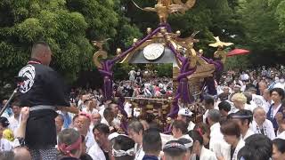 令和5年　台東区上野公園＜五條天神社＞神幸祭　千貫神輿＝宮出・渡御（元黒門町会）