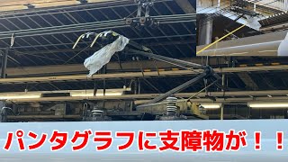 パンタグラフに支障物が付着！支障物の回収作業を撮影E257系5000番台ｵｵOM-93編成