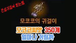 모코코씨앗 350개 얻는데 얼마나걸릴까? 전설귀걸이 얻는법 (로스트아크,로아,모코코씨앗 위치)