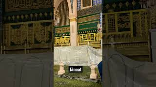 Riaz ul jannah | 29 Ramzan in Madina Sharif | Riaz ul jannah masjid Nabawi