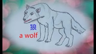 How to draw a wolf      如何画一只狼