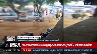 തൃശ്ശൂരില്‍ ഉത്സവത്തിനിടെ ആന ഇടഞ്ഞു | Elephant Attack | Thrissur