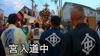 令和元年  　立川諏訪神社　例大祭「立川夏祭り」神輿宮入道中です　迫力満点です　。