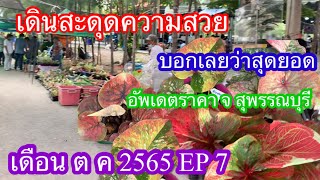 อัพเดตราคาบอนสีตลาดนัด จ สุพรรณบุรี เดือน ต ค 2565  EP7