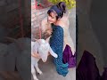 Eid Mubarak Aayat Arif || Sabko Sabko Bakra Eid Mubarak || Bakra Eid Nasheed 2020 | Beautiful Video