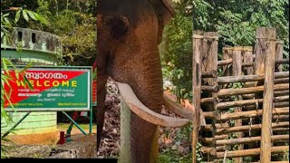 Abhayaranyam kaprikkadu ecotourism ! Kodanad !perumbavoor .