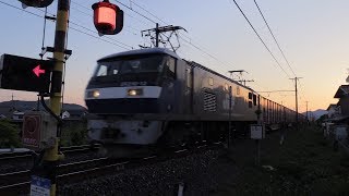 JR貨物 EF210-12牽引 7053レ貨物列車「スーパーライナー」河瀬～稲枝間を通過