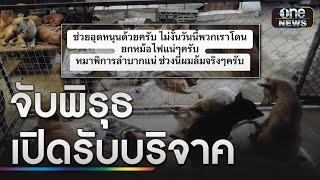 เพจดังจับพิรุธ หนุ่มเปิดรับบริจาคค่าไฟ-ช่วยสุนัข | ข่าวเที่ยงช่องวัน | สำนักข่าววันนิวส์