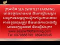 sea swiftlet farming p10 សំឡេងតេស test ហៅត្រចៀកកាំខ្មែរ មានប្រសិទ្ធភាព១០០% test sound