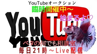 オークション DE ナイト♬【2021年9月4日】ベタの何でも相談室