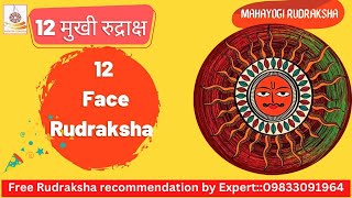 12 MUKHI RUDRAKSHA BENEFITS  | 12 मुखी रुद्राक्ष  #twelvemukhi #mahayogirudraksha #rudraksha