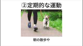 雑学『犬の健康を守る秘訣！毎日できる生活習慣で愛犬の幸せをサポート』＃犬、＃雑学、＃犬雑学、＃いぬ、＃豆知識、＃愛されているサイン、＃VOICE VOX（青山龍星）