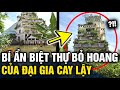 Giải mã bí ẩn CĂN BIỆT THỰ BỎ HOANG ở Tiền Giang, với lời đồn CÓ NGÔI MỘ trên tầng mái | Tin 3 Phút