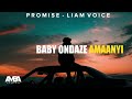 Promise demo by liam voice lyrics by amba lyrics