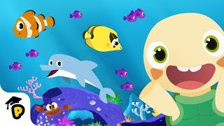 Learn about Sea Animals | Ocean Animal Compilation | Kids Cartoon | Dr. Panda TotoTime Season 2