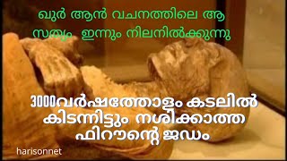 🇪🇬3116 വർഷം കടലിൽ കിടന്നിട്ടും നശിക്കാത്ത ഫിറോന്റെ ബോഡി|The mummy of pharaoh| Firon deadbody فيرون |