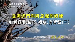 【念佛法門與四念處的修練──如何看開、放下、療癒、有智慧 3. 】念佛法門與如來正見的雙運__ 淨光法師開示