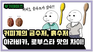 [부기커피]커피계의 금수저 흙수저? 커피종류의 비밀!