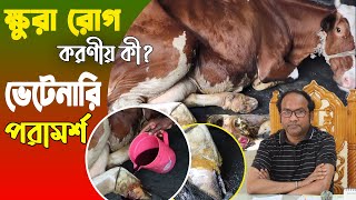 গরুর ক্ষুরা রোগ কেন হয় এবং করনীয় কি? ভেটেরিনারিয়ান এর পরামর্শ | ক্ষুরা (FMD) রোগের চিকিৎসা