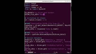 Analyze DICOM Medical Images Using Python & AWS S3 | AI in Healthcare