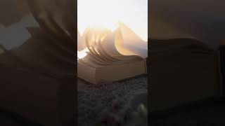 book in the wind - page sound asmr