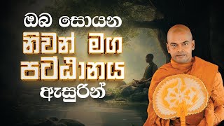 නිවන් මග | පූජනීය කිරිවත්තුඩුවේ අරියදස්සන ස්වාමීන් වහන්සේ